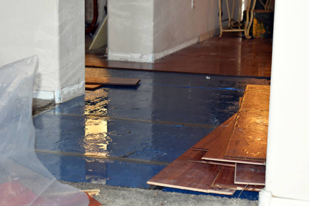 Professional Basement Water Removal technician working in Hartford, WI